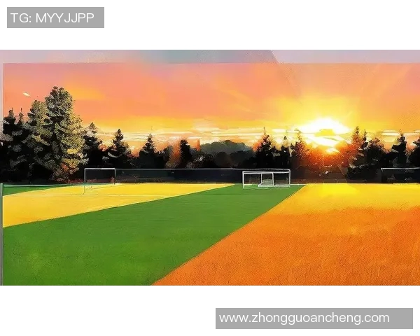 相信我没错的足球明星们带你领略激情与荣耀的绿茵传奇