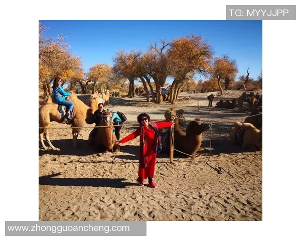 田宇翔的奋斗故事与梦想追逐：从普通青年到行业领军人物的成长之路
